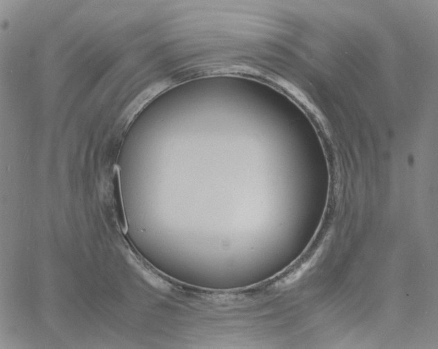 X0000060770897200512082030