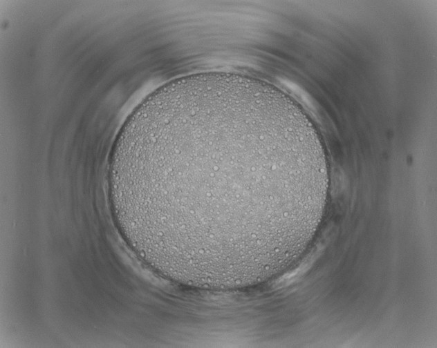 X0000060770899200512082030