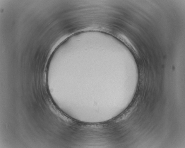 X0000060770900200512082030