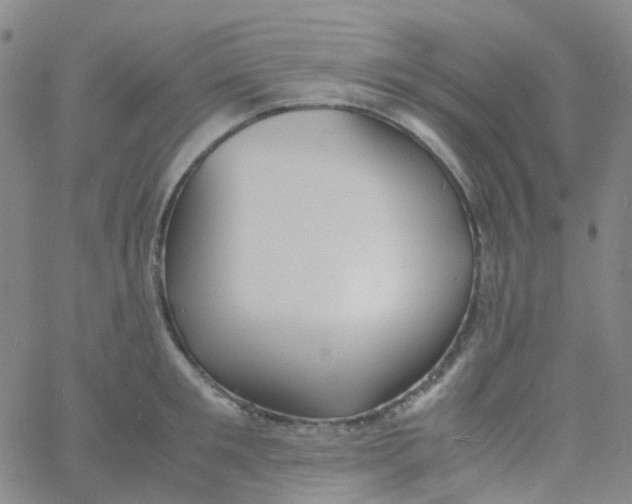 X0000060770901200512082030