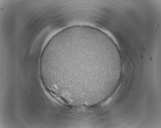 X0000060770903200512082030