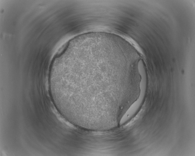 X0000060770904200512082030