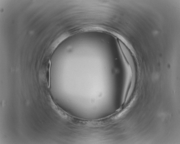 X0000060770905200512082030