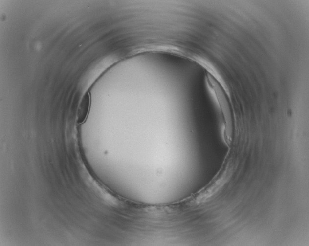 X0000060770906200512082030