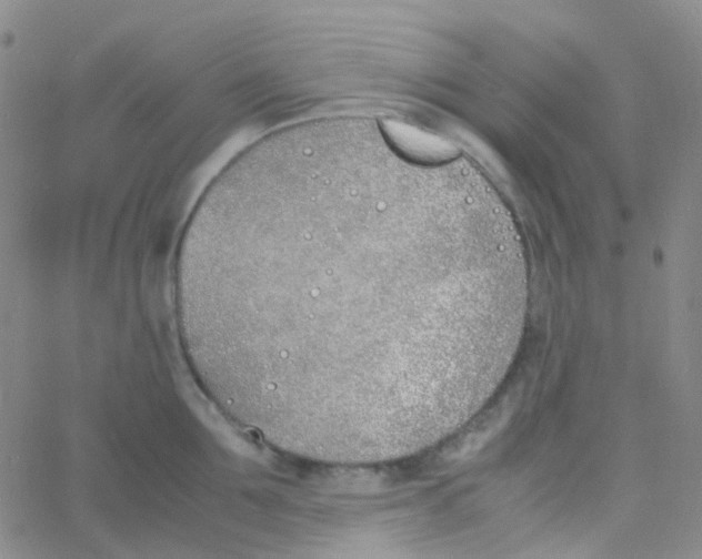 X0000060770907200512082030