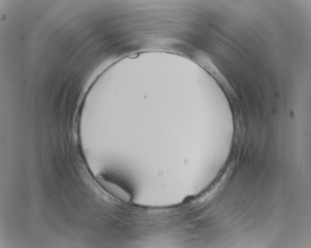 X0000060770908200512082030