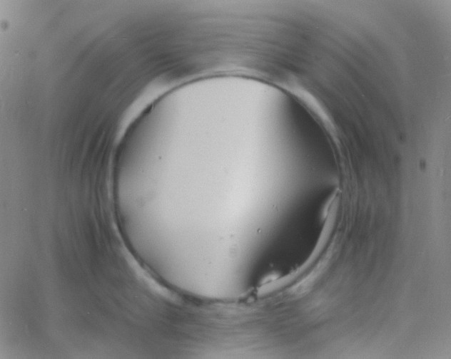 X0000060770910200512082030