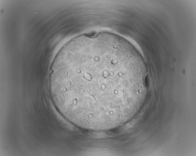 X0000060770911200512082030