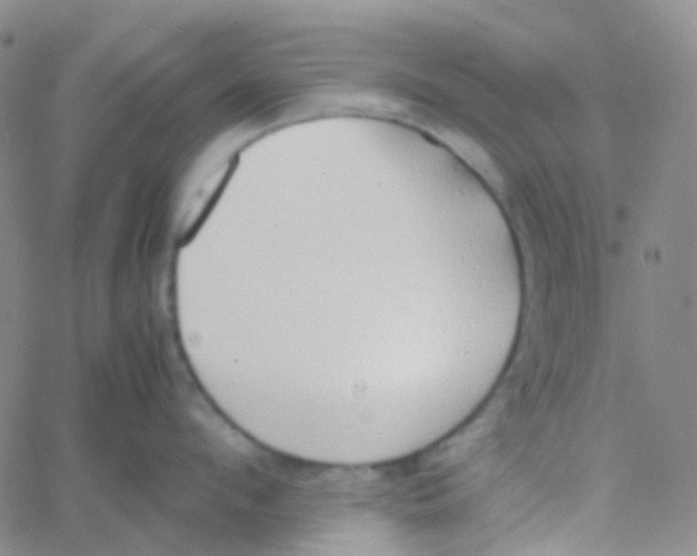 X0000060770912200512082030