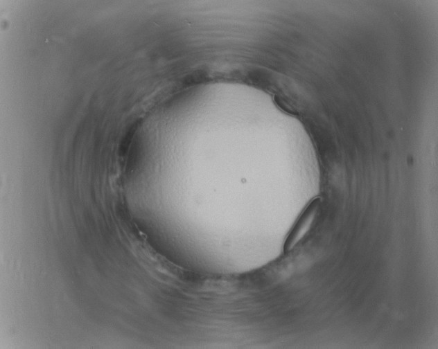 X0000060770914200512082029