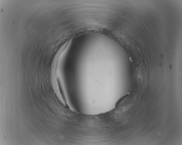 X0000060770916200512082029