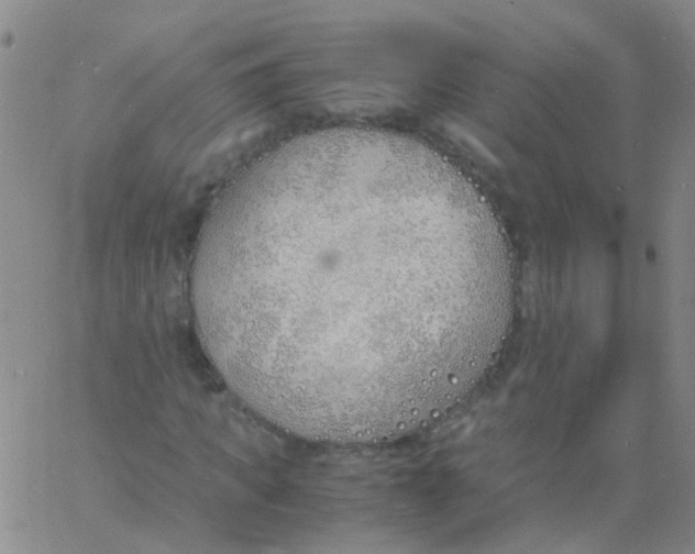 X0000060770917200512082029