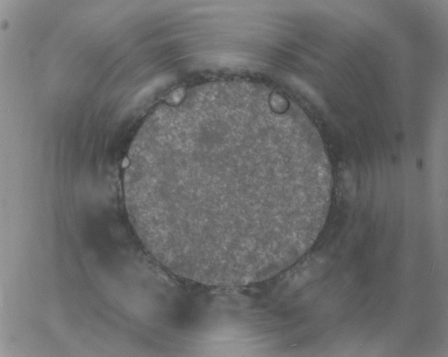 X0000060770918200512082029