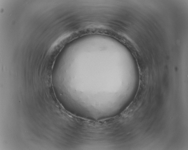 X0000060770919200512082029