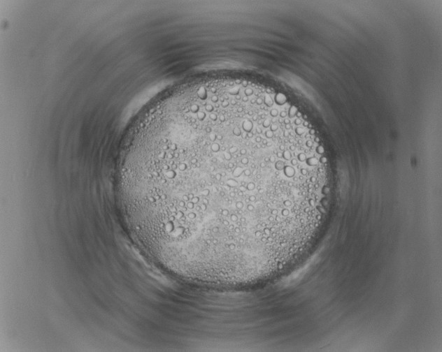 X0000060770921200512082029