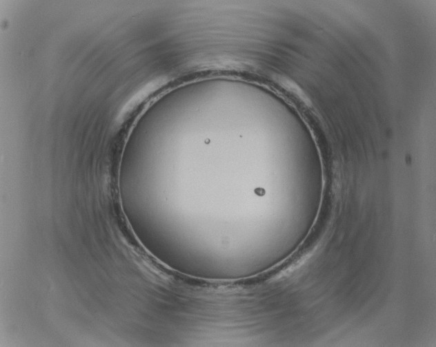 X0000060770922200512082029