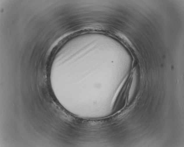 X0000060770923200512082029