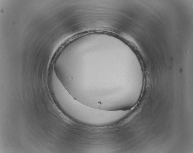 X0000060770924200512082030