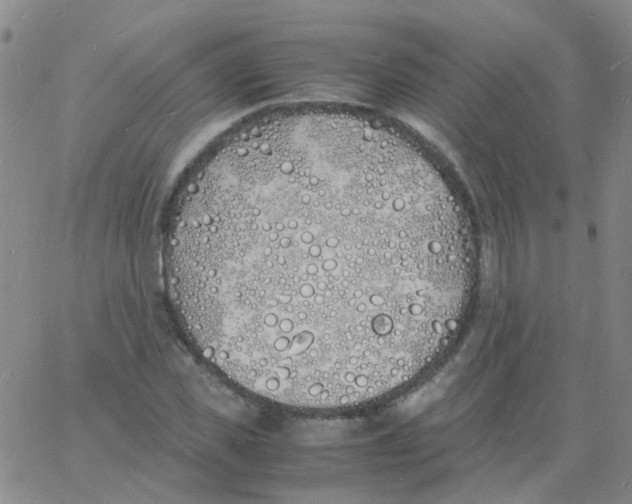 X0000060770925200512082030