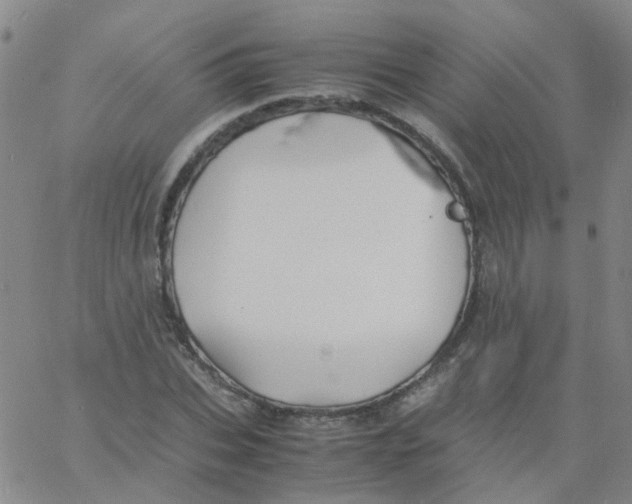 X0000060770927200512082030