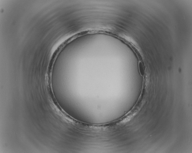 X0000060770928200512082030