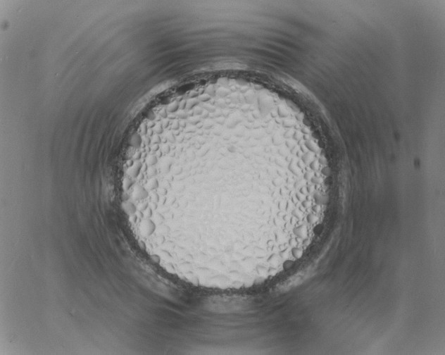 X0000060770929200512082030