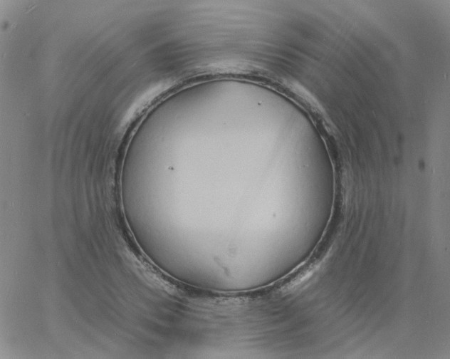 X0000060770930200512082030