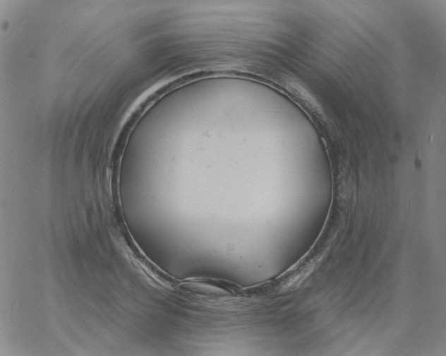 X0000060770932200512082030