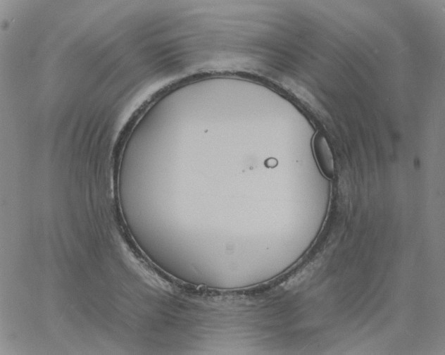 X0000060770934200512082030