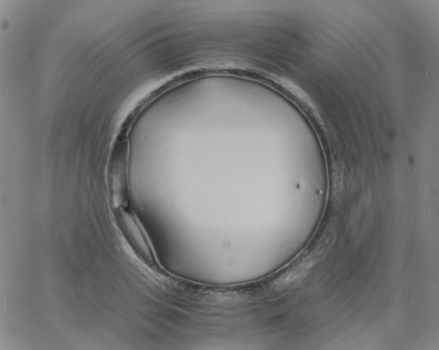 X0000060770935200512082030