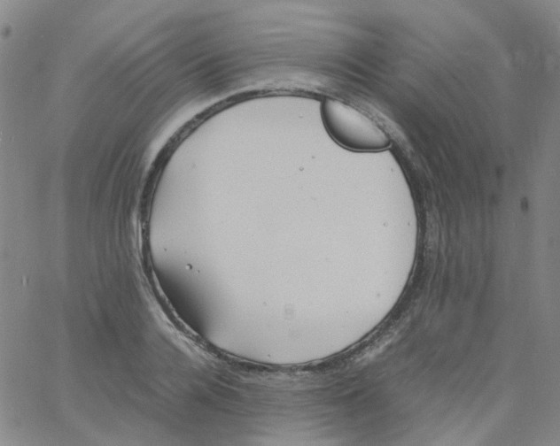 X0000060770936200512082030