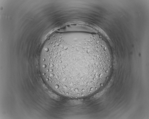 X0000060770937200512082030