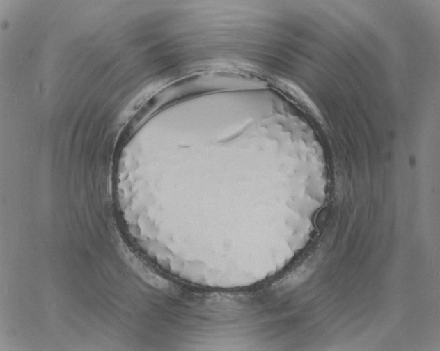 X0000060770938200512082030