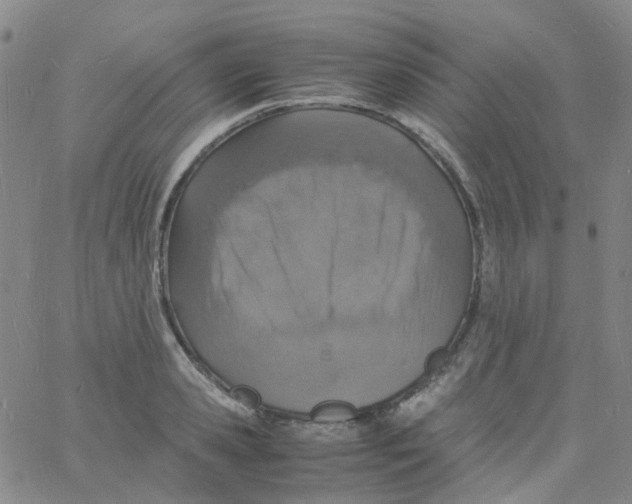 X0000060770941200512082030