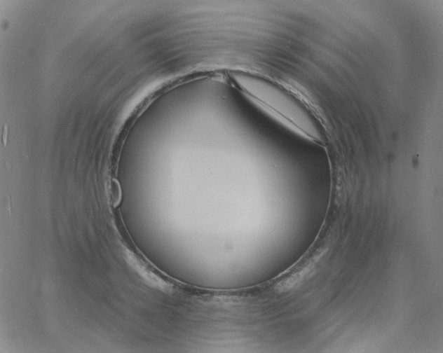 X0000060770942200512082030