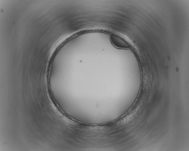 X0000060770943200512082030