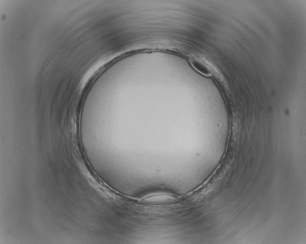 X0000060770944200512082030