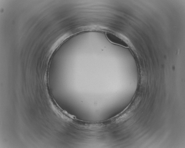 X0000060770946200512082030