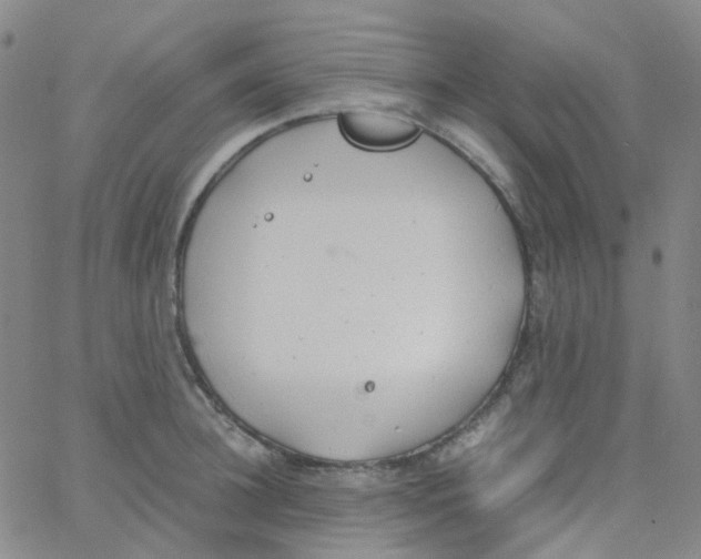 X0000060770948200512082030