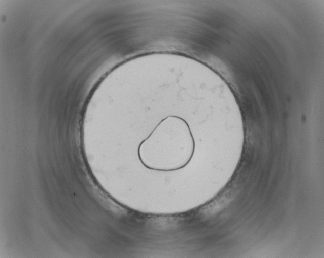 X0000060770950200512082030