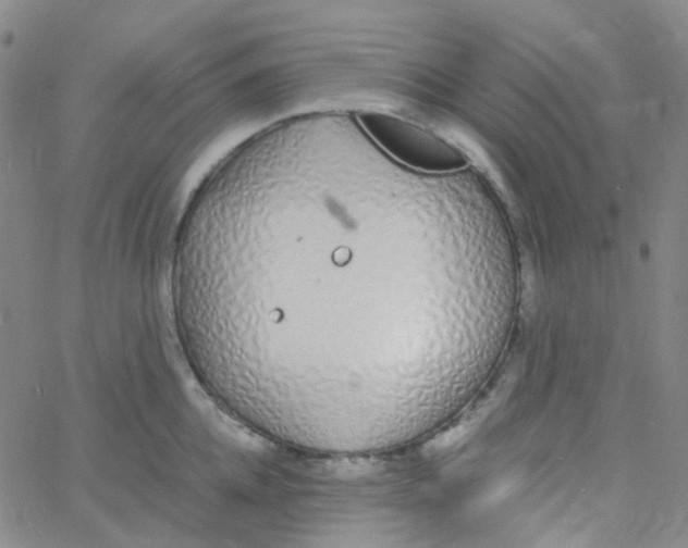 X0000060770952200512082030