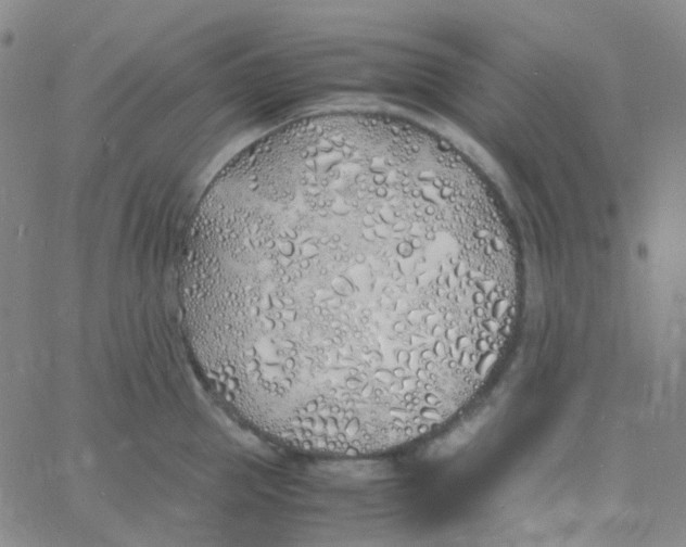 X0000060770953200512082030