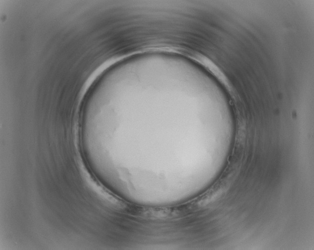 X0000060770955200512082030