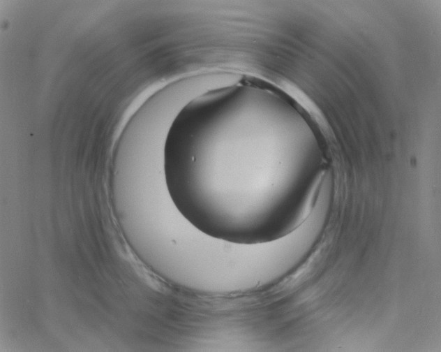 X0000060770956200512082030