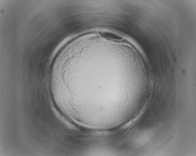 X0000060770958200512082030