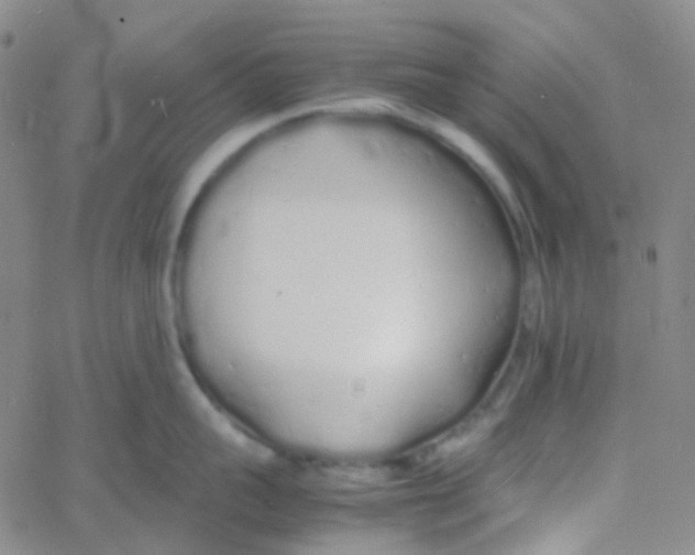 X0000060770959200512082030