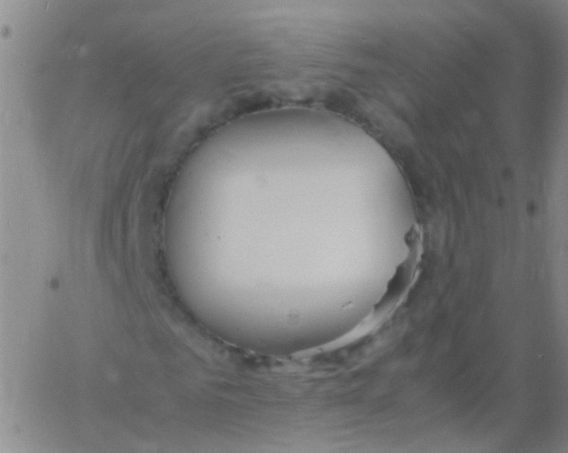 X0000060770961200512082029