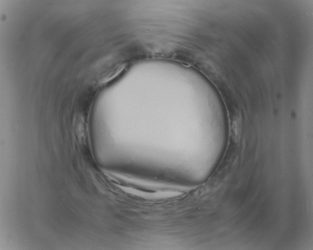 X0000060770963200512082029