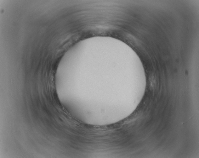 X0000060770964200512082029