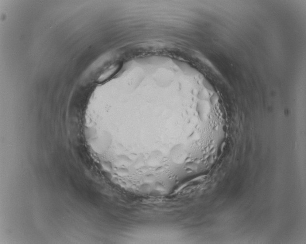 X0000060770967200512082029